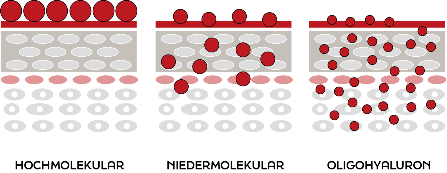 Hochmolekular, Niedermolekular und Oligohyaluron von KIYOMI SKIN.
